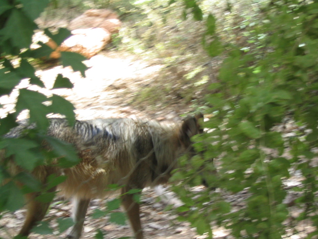 618x457 pixels (179K)